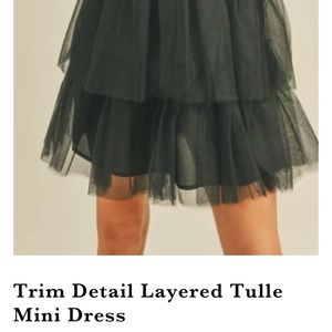 Trim Layered Tulle Mini Dress